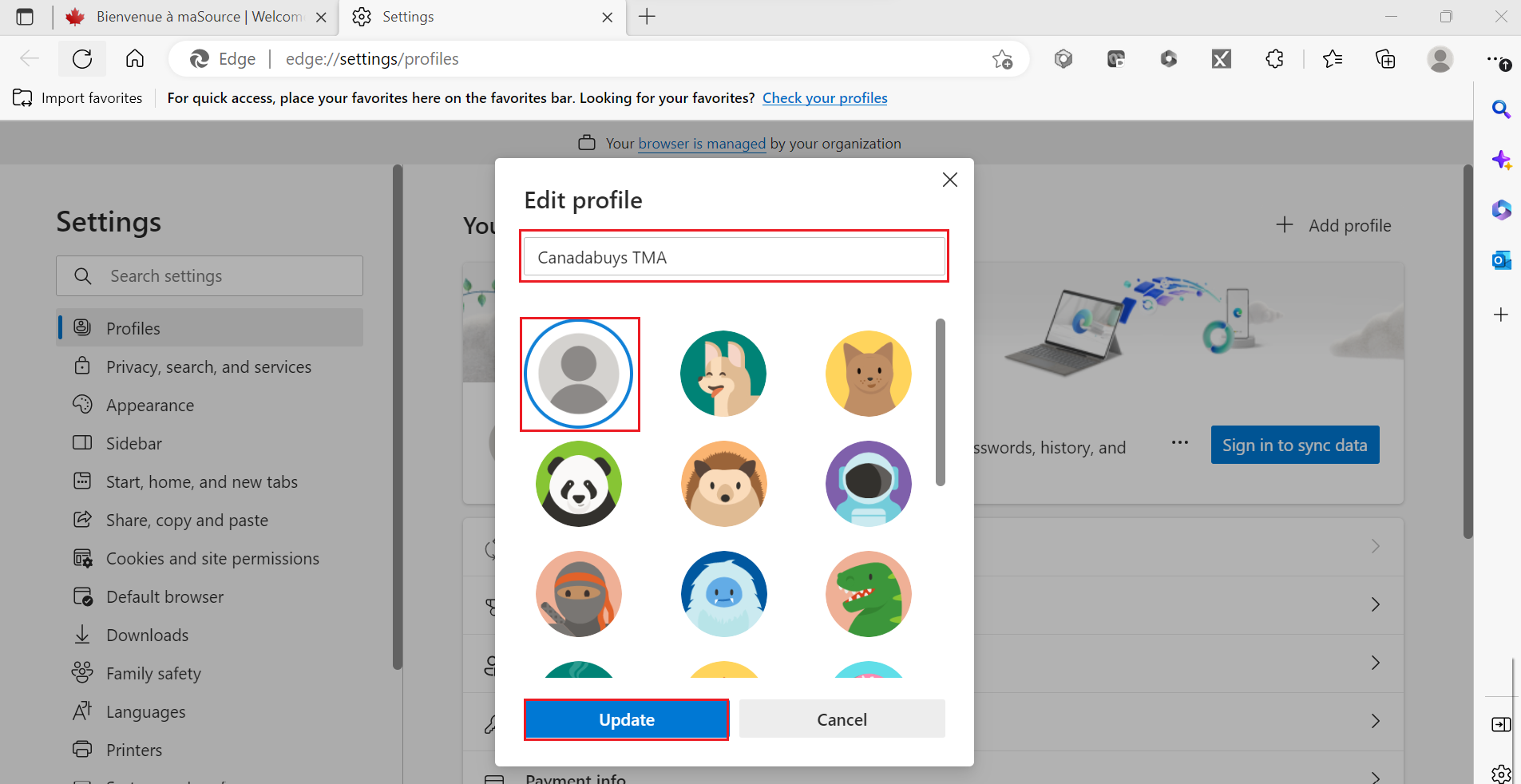 A screenshot of the “edit profile” pop-up window with the profile name field, an avatar and the update button highlighted.
